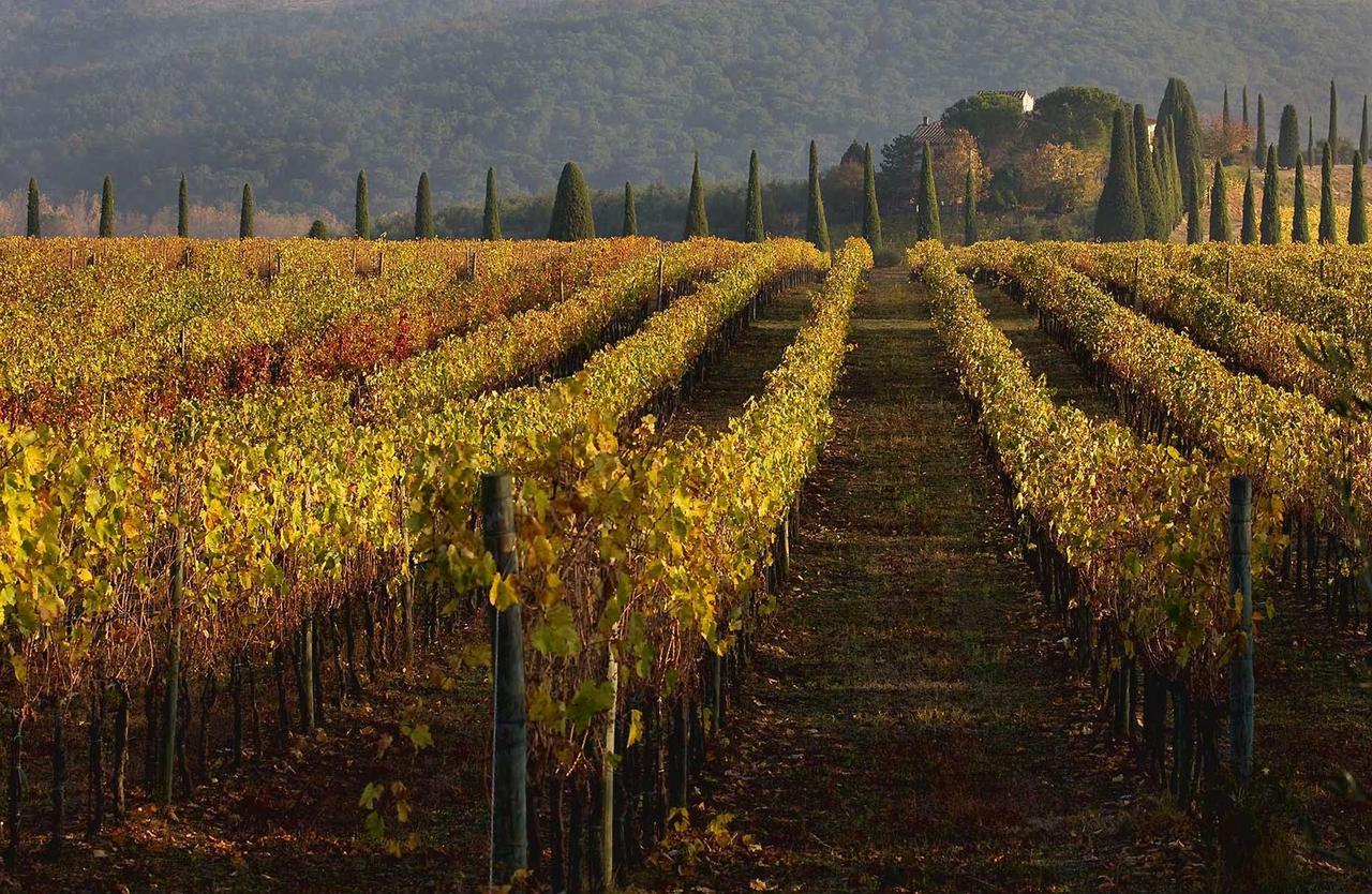 Castello Di Gabbiano Villa Mercatale Val Di Pesa Екстериор снимка